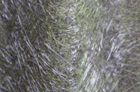 Little Billing fibreglass roof work